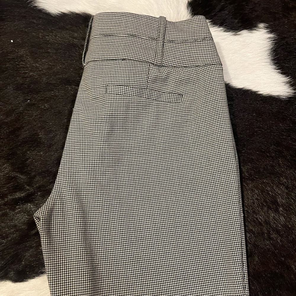 Women’s dress pants
